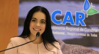 Gestión Ambiental en I.E.