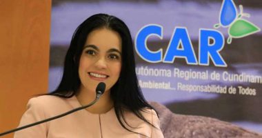 Gestión Ambiental en I.E.