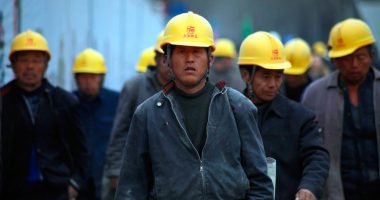 Historia laboral