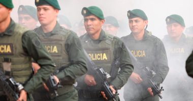 Grupo de Operaciones Especiales GOES