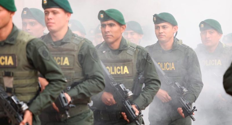 Grupo de Operaciones Especiales GOES