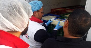 Operativo carne Socha