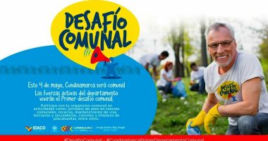desafío comunal 2019