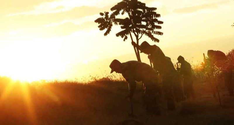 Primer concurso de educación ambiental