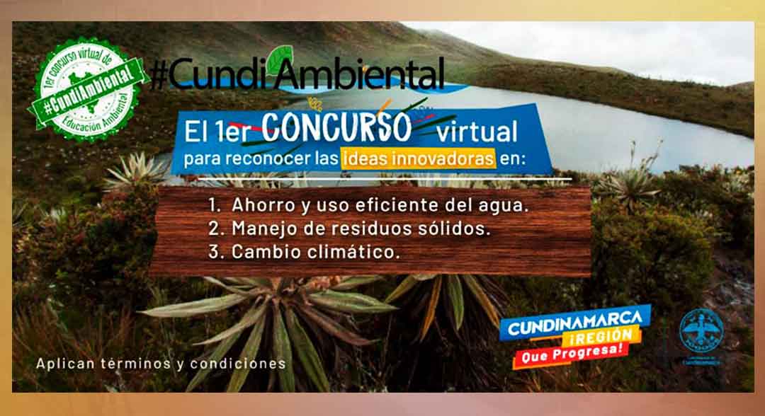 Concurso Virtual medio ambiente