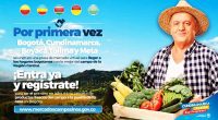 Hasta este sábado hay plazo para comprar mercados.