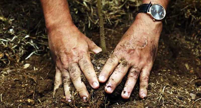 El Suelo, importante para la seguridad alimentaria en Cundinamarca