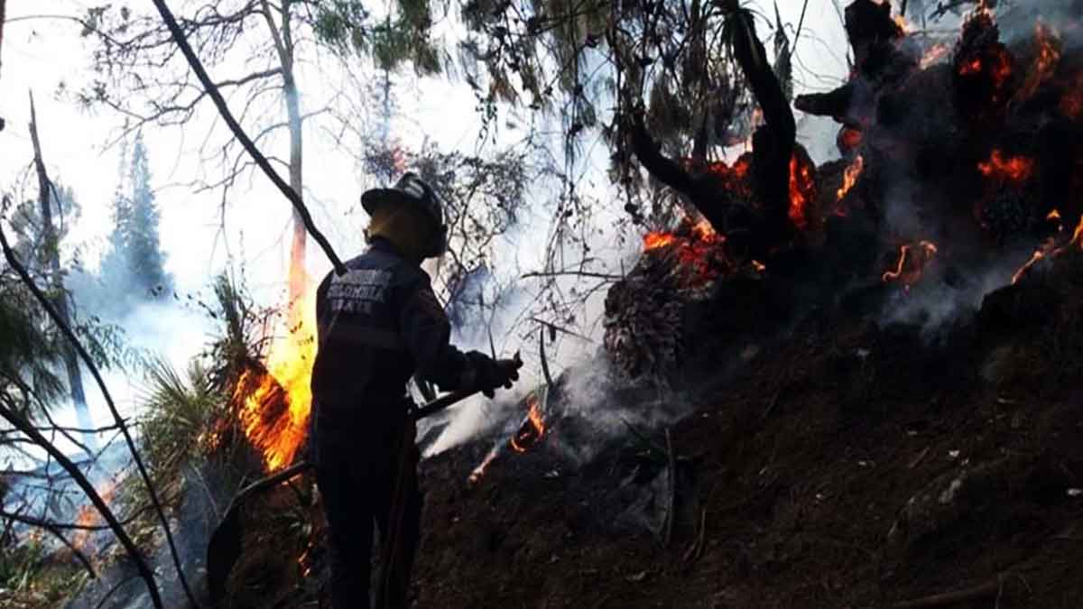 Incendios forestales por altas temperaturas en Cundinamarca