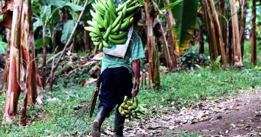 Alianzas Productivas para la Vida Inscripciones