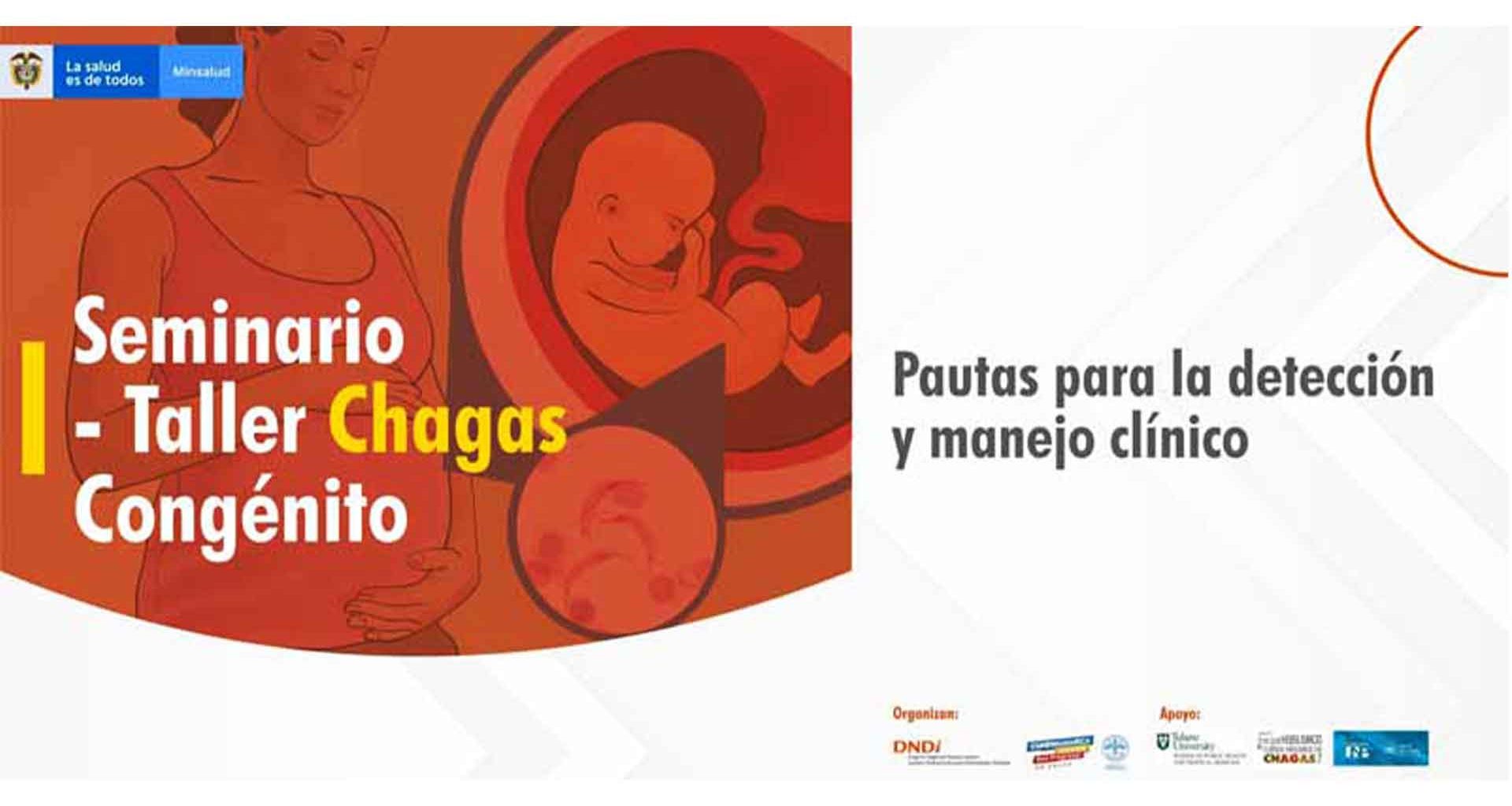 Cundinamarca lucha contra la enfermedad del Chagas