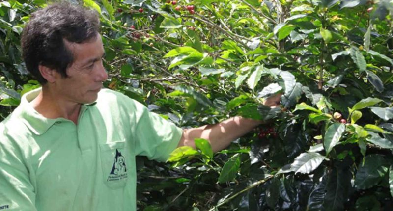 Cundinamarca abre convocatoria para entrega de Maquinaria