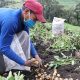 Arranca estrategia 'Compramos tu cosecha' en Cundinamarca