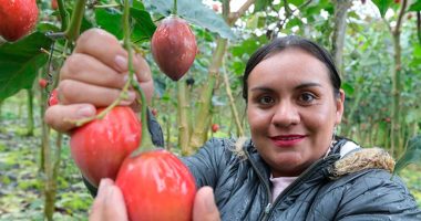 Cundinamarca celebró el Día Mundial de la Agricultura