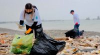 La empresa colombiana Apropet evita contaminación del mar con plásticos