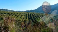 Gustavo Petro espera comprar 3 millones de hectáreas fértiles