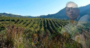 Gustavo Petro espera comprar 3 millones de hectáreas fértiles