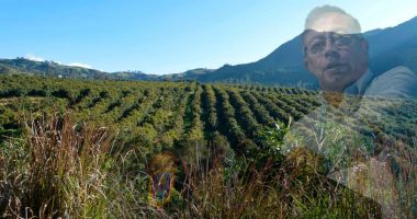 Gustavo Petro espera comprar 3 millones de hectáreas fértiles