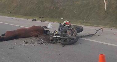 Choque mortal entre motociclista y caballo en v铆a de Zipaquir谩 a Cajic谩