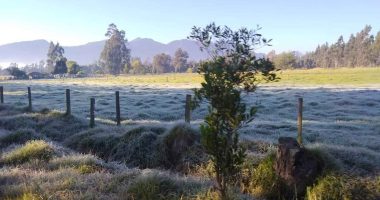 El fenómeno de las heladas en Ubaté: un desafío para los agricultores