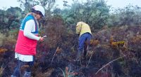 Incendios forestales en Cundinamarca afectan cinco municipios