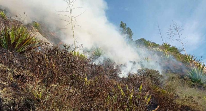 Incendio en Ciudadela Maiporé fue controlado con éxito por Bomberos de Soacha