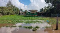 Inundaciones en veredas de Facatativá: Una emergencia que deja graves afectaciones