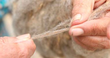 Artesanos de Cundinamarca se lanzan en Bogotá Fashion Week con 'Oda Andina'