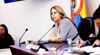 Partido Alianza Verde en Cundinamarca: Difícil Camino para Otorgamiento de Avales