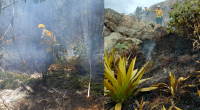 Dos grandes incendios forestales en Soacha