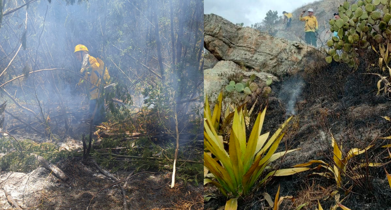Dos grandes incendios forestales en Soacha