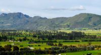 Sabana Centro en Cundinamarca: El nuevo epicentro de producción alimentaria del país