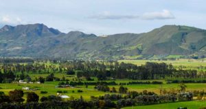 Sabana Centro en Cundinamarca: El nuevo epicentro de producción alimentaria del país