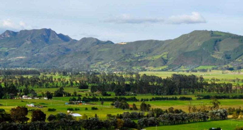Sabana Centro en Cundinamarca: El nuevo epicentro de producción alimentaria del país
