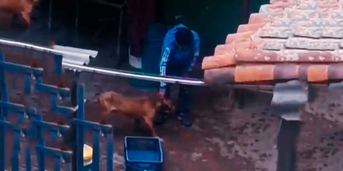 Un estremecedor incidente de maltrato animal sacude a Soacha, un ciudadano, denuncia a través de redes sociales el acto de crueldad.