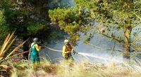 Incendio Forestal en Soacha Desafía a Bomberos y Autoridades