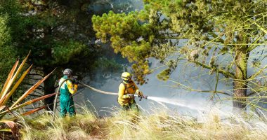 Incendio Forestal en Soacha Desafía a Bomberos y Autoridades