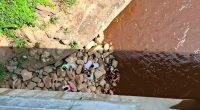 Trágico accidente en el puente Sumapaz en Melgar deja una víctima fatal y un herido grave