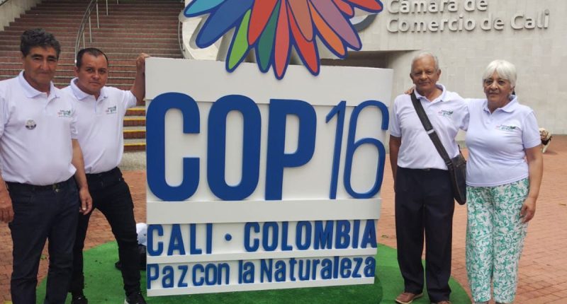 Soacha presente en la COP-16 con innovadoras propuestas ambientales