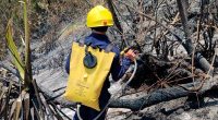 Municipios de Cundinamarca Refuerzan Gestión del Riesgo