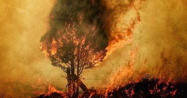 Balance final de la Sequía Cundinamarca: 699 Incendios Forestales Registrados