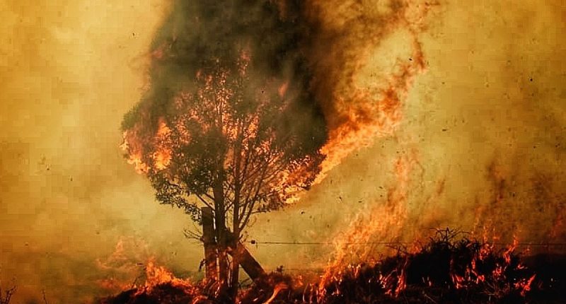 Balance final de la Sequía Cundinamarca: 699 Incendios Forestales Registrados