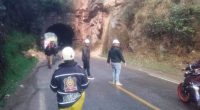 Túnel de Sibaté con paso restringido por tala de árbol en alto riesgo