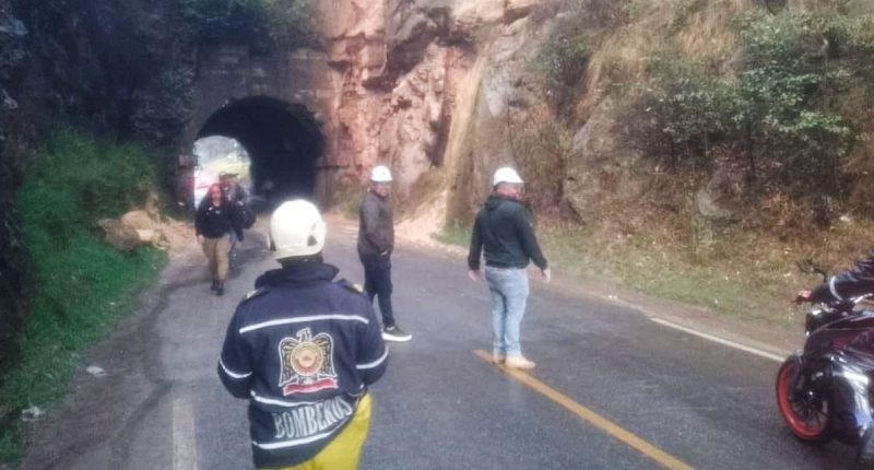 Túnel de Sibaté con paso restringido por tala de árbol en alto riesgo