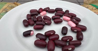 Incautan cargamento de sustancias ilícitas en Soacha, que simulaba Fríjoles