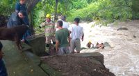 Tres personas atrapadas en el río Lindo en Viotá son puestas a salvo
