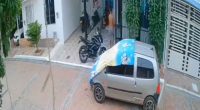 Indignación en Girardot por la muerte de un perrito de raza pincher a manos de su vecino