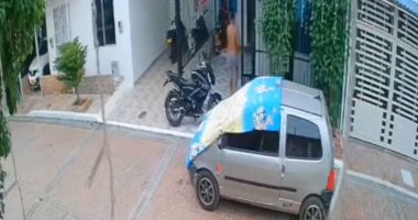 Indignación en Girardot por la muerte de un perrito de raza pincher a manos de su vecino