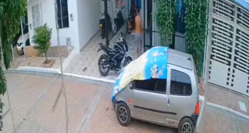 Indignación en Girardot por la muerte de un perrito de raza pincher a manos de su vecino