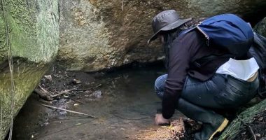 Mejoras en Humedal El Charquito tras visita técnica de la Secretaría de Ambiente