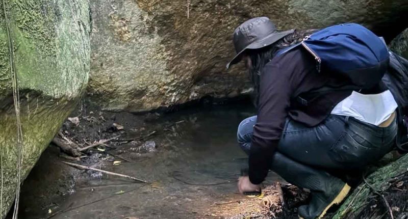 Mejoras en Humedal El Charquito tras visita técnica de la Secretaría de Ambiente